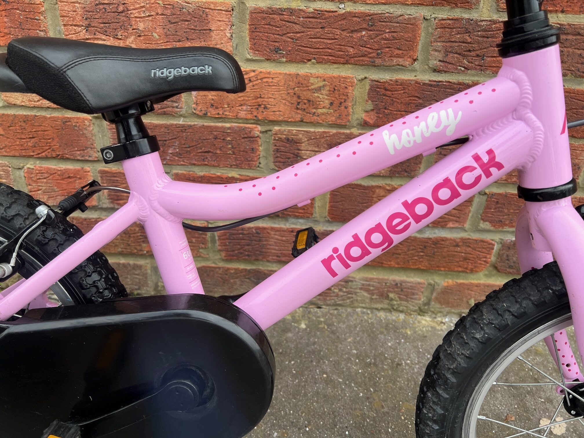 bike ridgeback honey pink ebay jan 2026IMG_6926