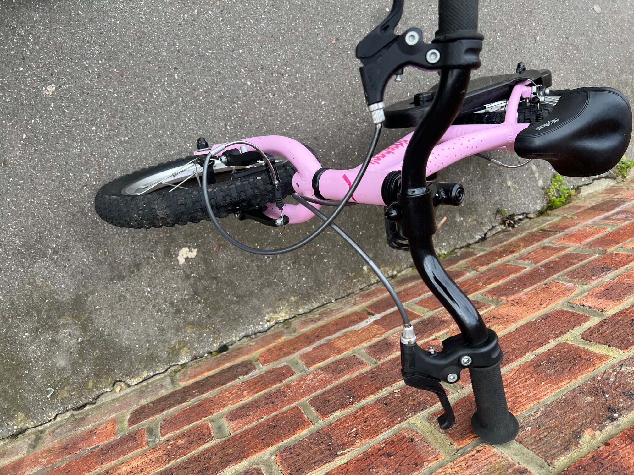 bike ridgeback honey pink ebay jan 2026IMG_6928