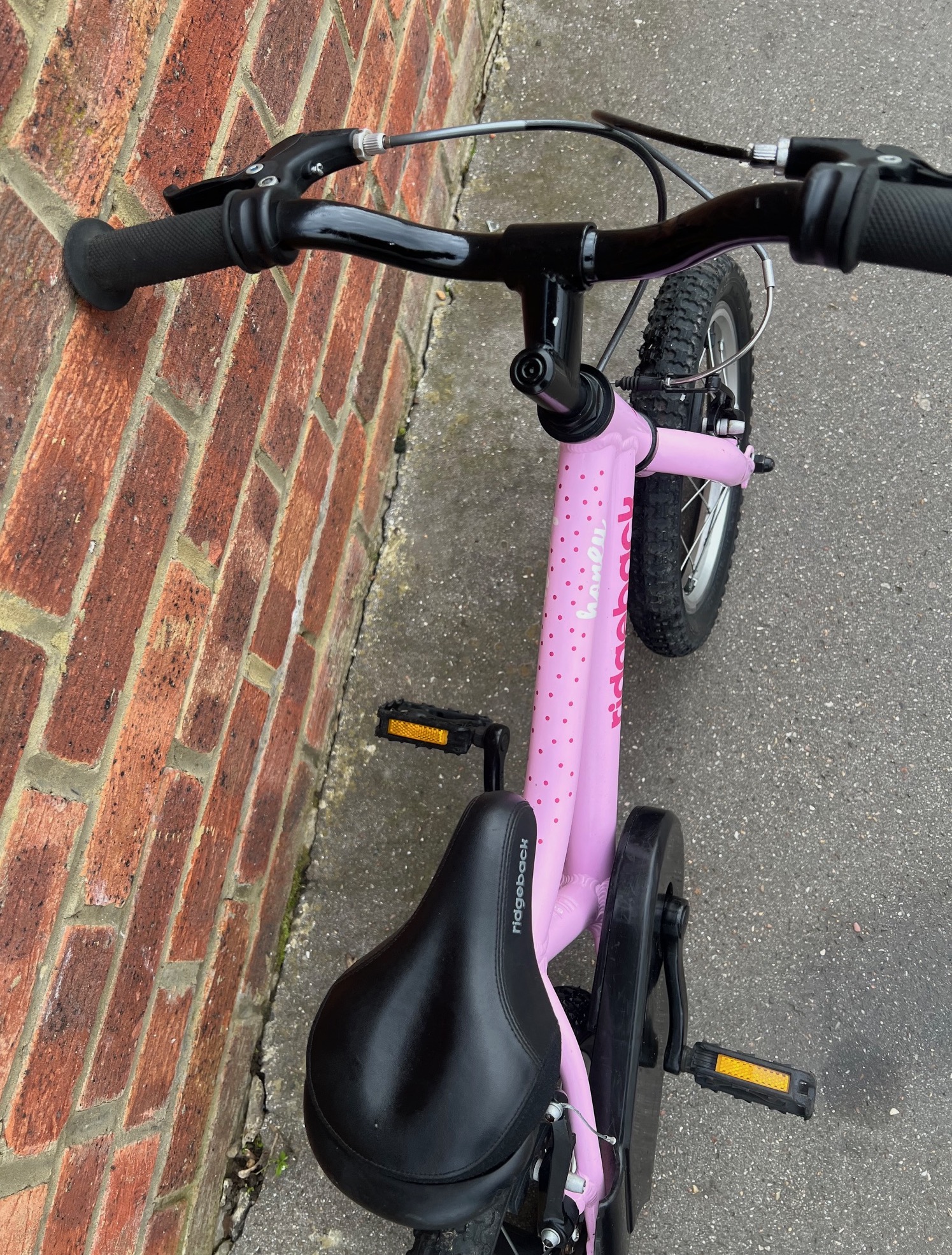 bike ridgeback honey pink ebay jan 2026IMG_6929