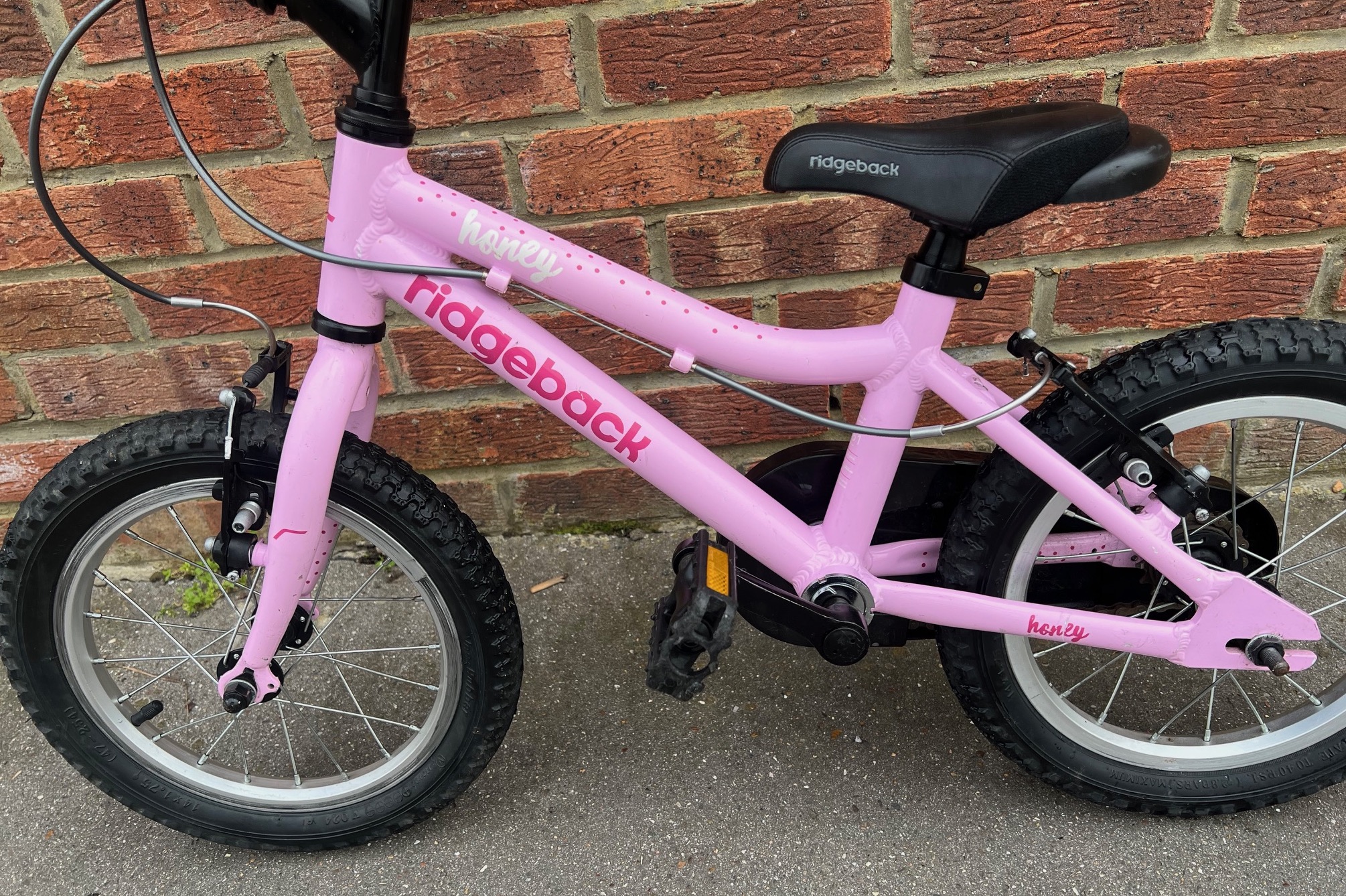 bike ridgeback honey pink ebay jan 2026IMG_6932