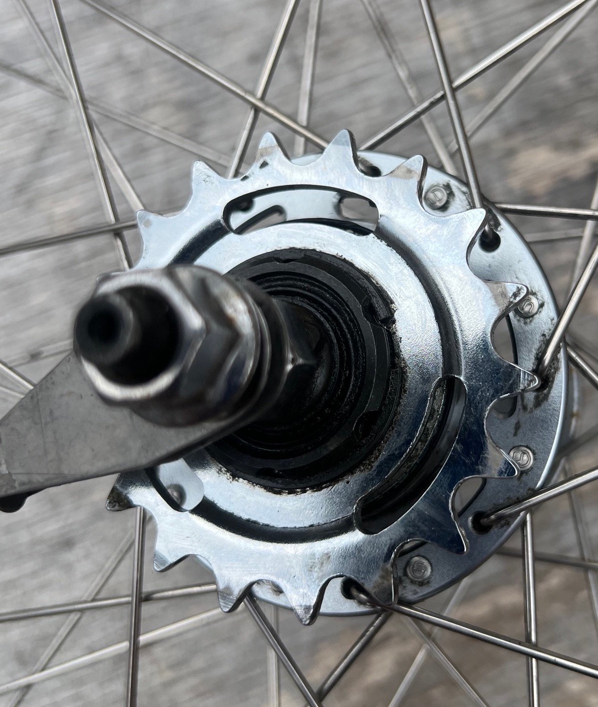bike wheel rear shimano IMG_9062