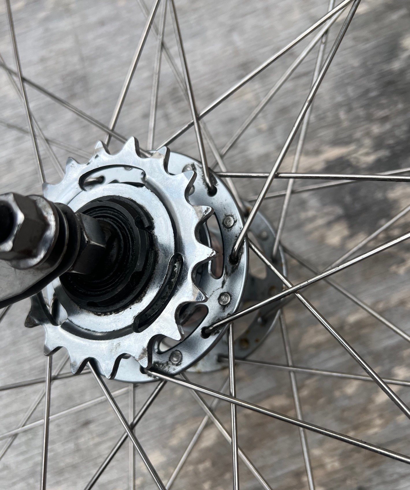 bike wheel rear shimano IMG_9063